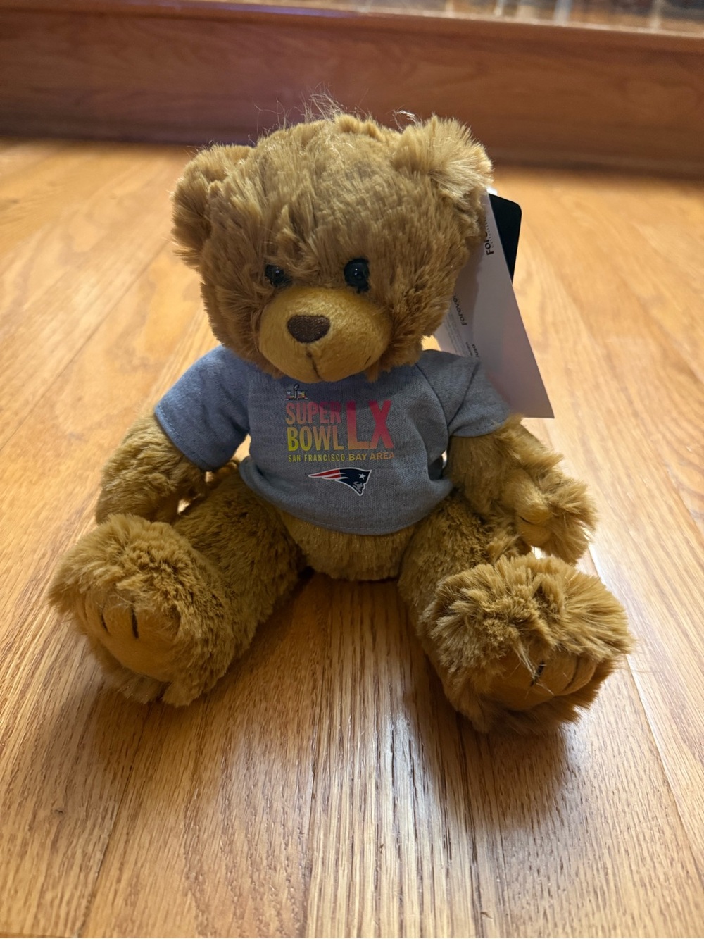 Brown Plush Teddy Bear with Grey Super Bowl Tee - Kids Stuffed Animal